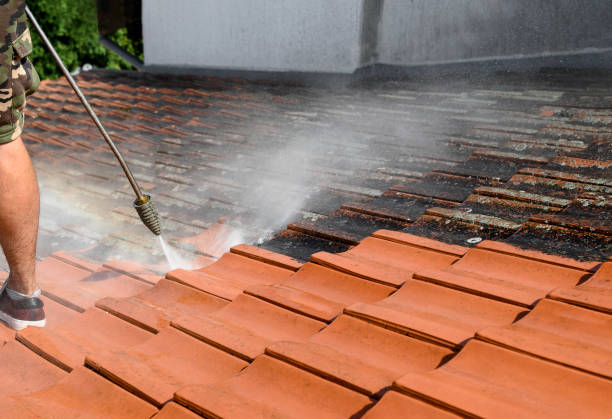 Best Concrete Pressure Washing  in Horseheads North, NY