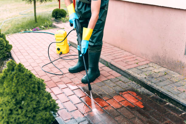 Best Exterior Home Cleaning  in Horseheads North, NY