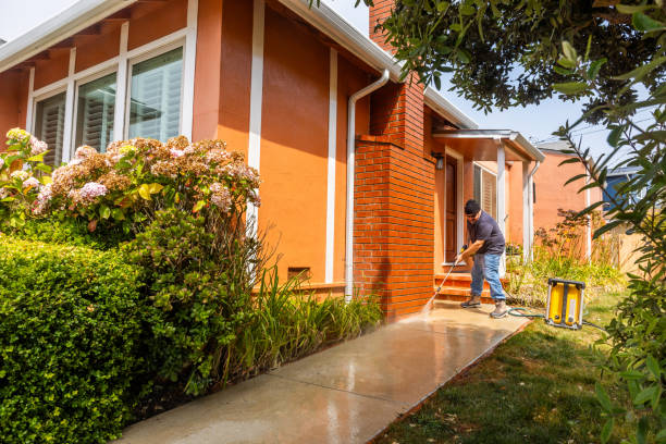 Best Local Pressure Washing Services  in Horseheads North, NY