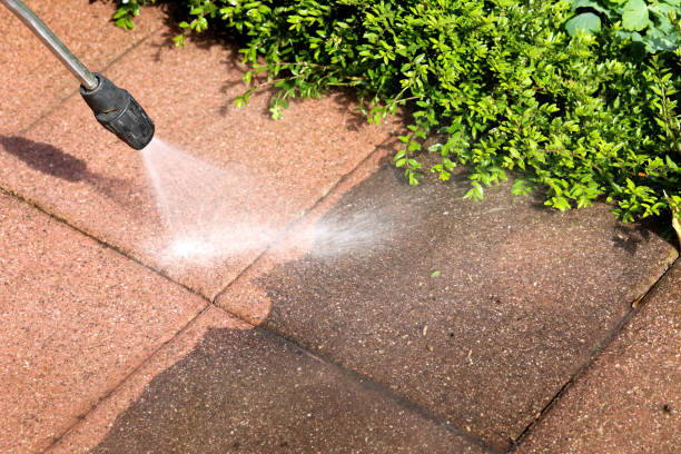 Best House Pressure Washing  in Horseheads North, NY